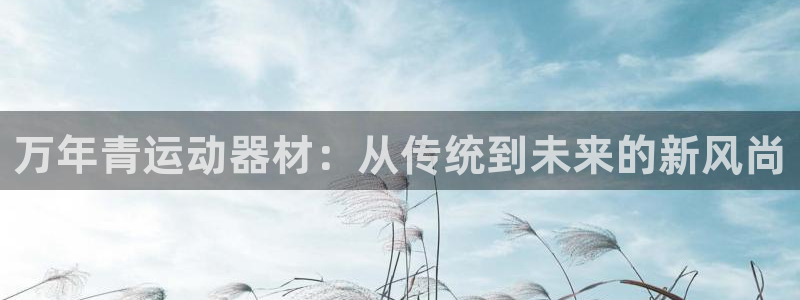 fb体育娱乐首页官网下载：万年青运动器材：从传统到未