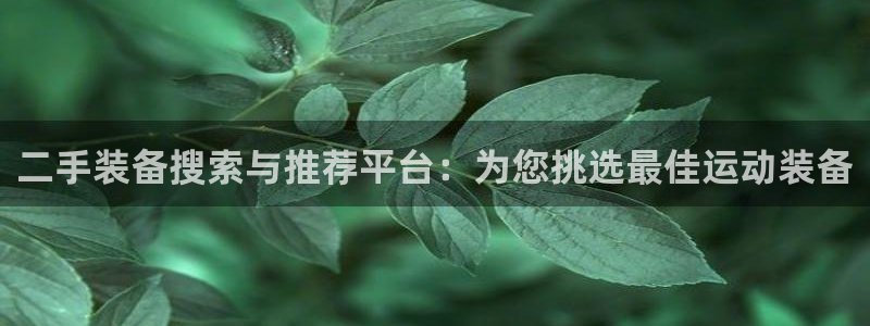 fb体育招商电话是多少啊