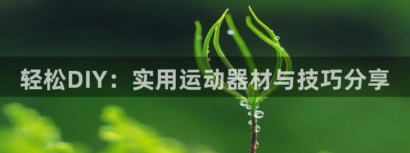 fb体育娱乐代理怎么样：轻松DIY：实用运动器材与技巧分享