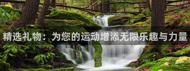 fb体育五金厂：精选礼物：为您的运动增添无限乐趣与力