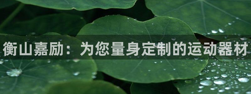 fb体育新能源