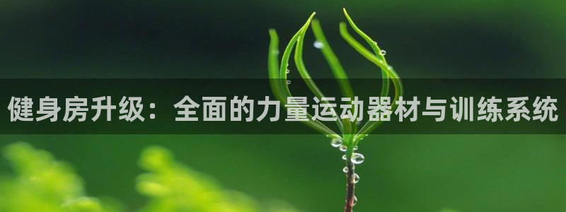 fb体育联系电话：健身房升级：全面的力量运动器材与训练系统