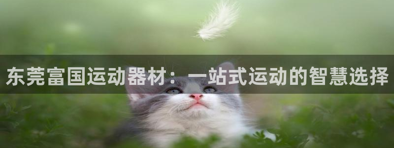 fb体育平台APP：东莞富国运动器材：一站式运动的智慧选择