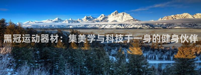 fb体育是干嘛的公司