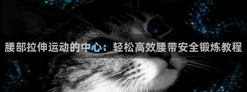 fb体育娱乐首页官网下载：腰部拉伸运动的中心：轻松高
