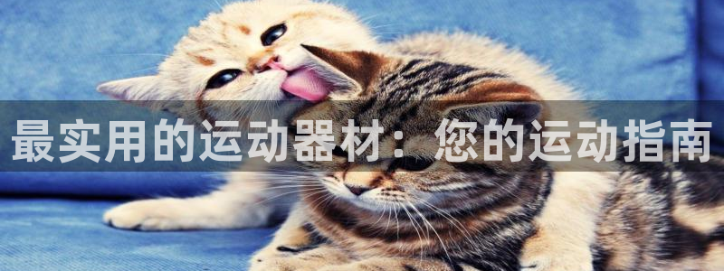 fb体育集团官网网址：最实用的运动器材：您的运动指南