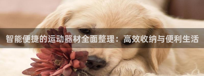 fb体育平台注册要钱吗：智能便捷的运动器材全面整理：