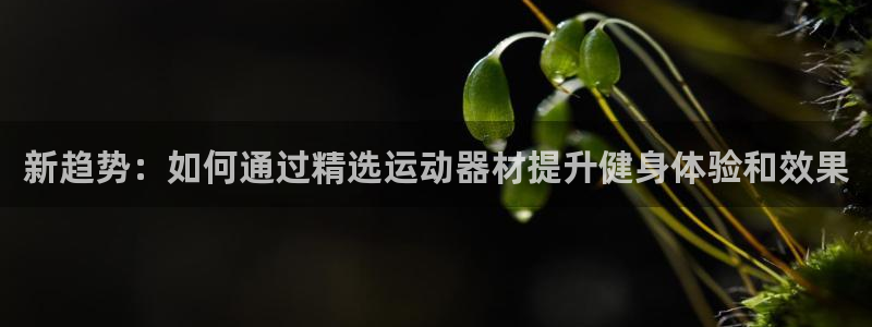 fb体育平台注册：新趋势：如何通过精选运动器材提升健