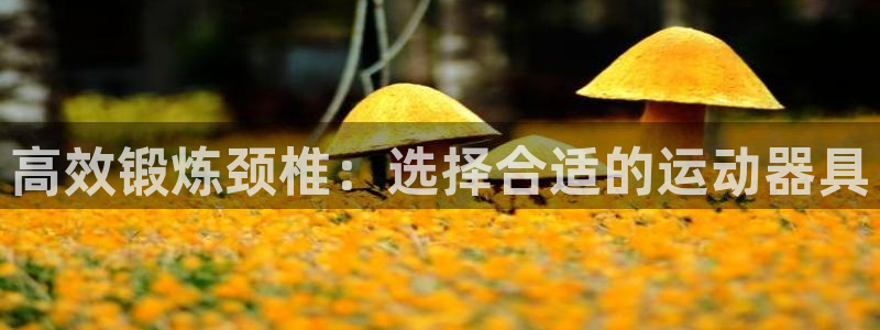 fb体育招商电话是多少号码：高效锻炼颈椎：选择合适的