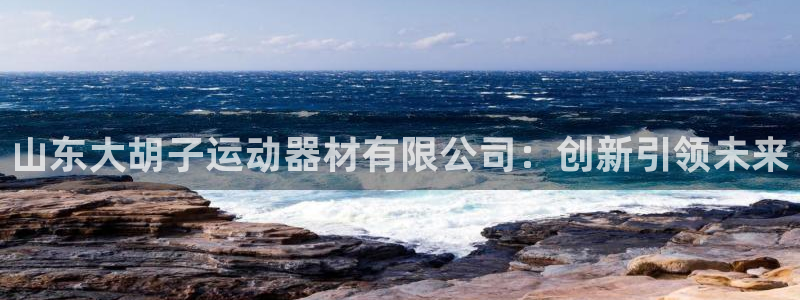 fb体育：山东大胡子运动器材有限公司：创新引领未来