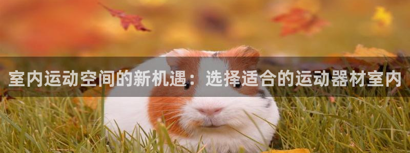 fb体育招商电话：室内运动空间的新机遇：选择适合的运动器材室
