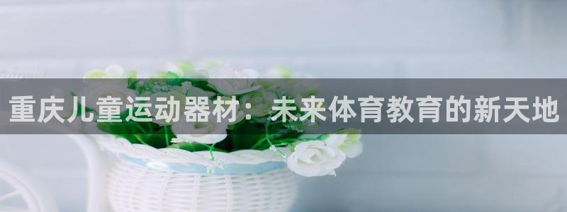 fb体育软件：重庆儿童运动器材：未来体育教育的新天地