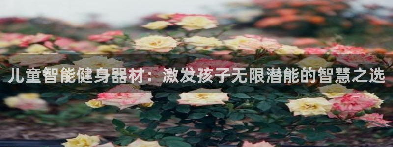 fb体育平台是正规平台吗知乎：儿童智能健身器材：激发孩子无限