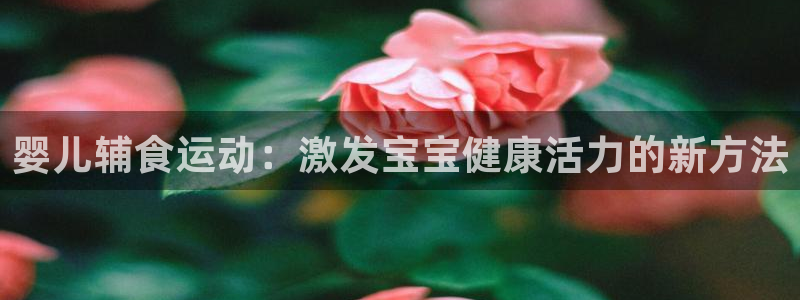 fb体育平台：婴儿辅食运动：激发宝宝健康活力的新方法