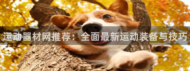 fb体育官方客服电话：运动器材网推荐：全面最新运动装备与技巧