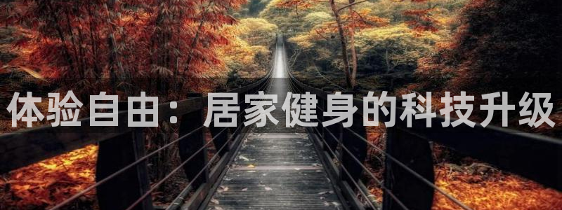 fb体育平台假的吗是真的吗：体验自由：居家健身的科技
