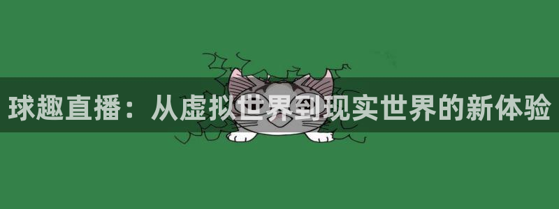 乐球直播免费观看nba直播：球趣直播：从虚拟世界到现实世界的新体验