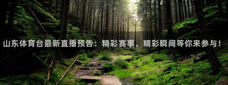 乐球直播在线观看nba：山东体育台最新直播预告：精彩赛事、精彩瞬间等你来参与！