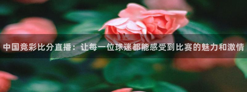 nba乐球免费直播：中国竞彩比分直播：让每一位球迷都能感受到比赛的魅力和激情