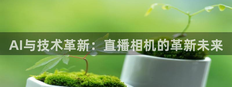 乐球直播间免费观看：AI与技术革新：直播相机的革新未来