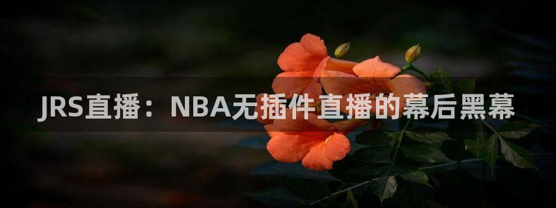 乐球体育免费直播软件：JRS直播：NBA无插件直播的幕后黑幕